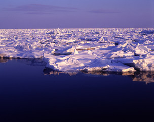 流氷 © Paylessimages