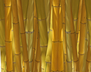 Panele Szklane Podświetlane  żółte bambusowe tło