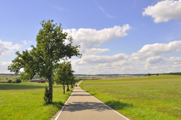 Einsame Straße mit Baeumen