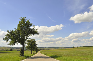 Einsame Straße mit Baeumen
