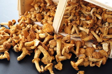 mushrooms