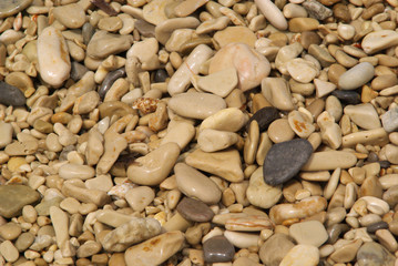 Kiesel am Strand - pebble on the beach 47