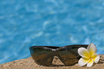 Fototapeta na wymiar Tropical flower and sunglasses