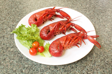Crayfish
