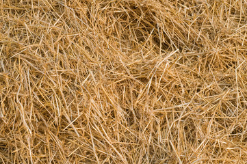 Straw