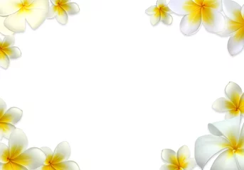 Fototapeten cadre de fleurs de frangipanier, fond blanc © Unclesam