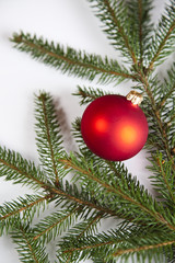 Obraz na płótnie Canvas Christmas tree