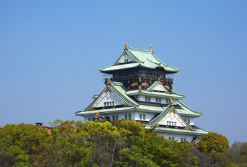 Fototapeta premium 大阪城
