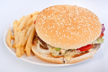 cheeseburger with fries