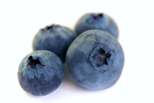 bilberry