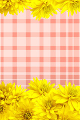 Yellow flowers petals background