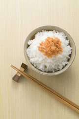 ごはんと鮭2