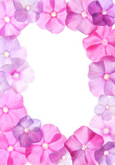Pink flowers, frame design