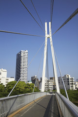 大阪大川に架かる歩道橋