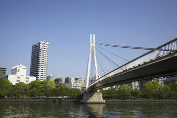 大阪大川に架かる歩道橋