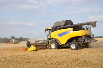 Obraz premium Viele Mähdrescher im Einsatz