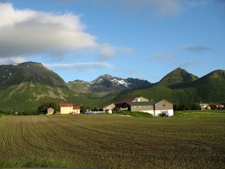Obraz premium Lofoten - Norvège