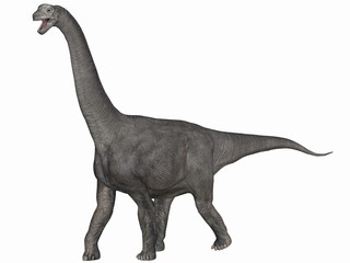 Camarasaurus-3D Dinosaurier