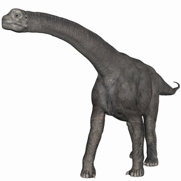 Camarasaurus-3D Dinosaurier