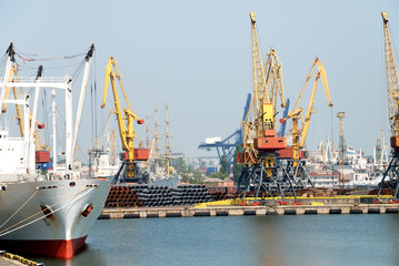 Fototapeta premium The trading seaport with cranes, cargoes and ship