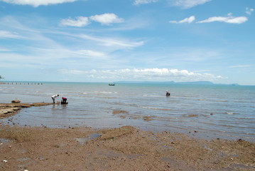 Paysage en bord de mer