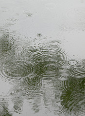Rain