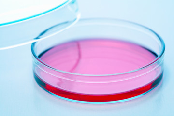 研究開発イメージ