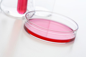 研究開発イメージ