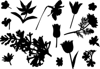 fourteen flower silhouettes