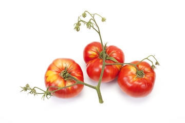 tomates