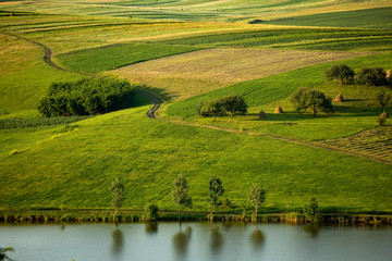 Green fields and water