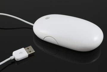 White computer mouse