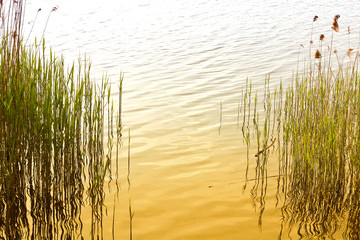 Obraz premium Nature background
