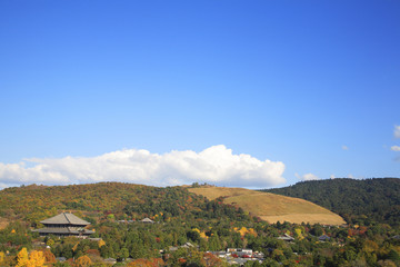 東大寺と若草山