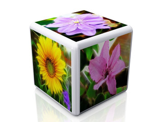 cube fleur