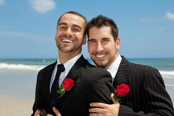 Two gay grooms