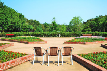 Chairs in a garden