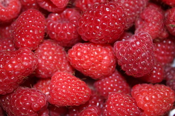 Framboises