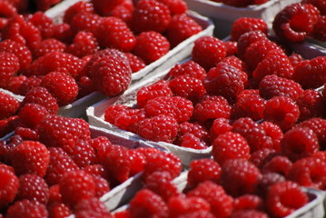 Himbeeren