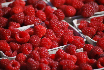 Himbeeren