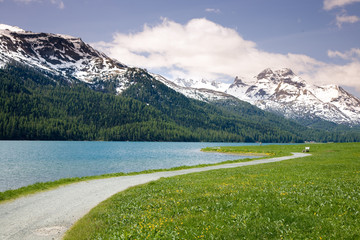 Am Silvaplanersee