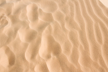 sandy background