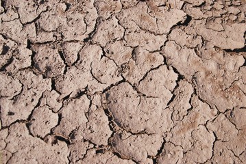 Trockenheit, Dürre