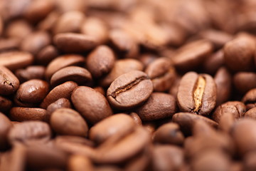 Kaffeebohnen nahaufnahme geschmackvoll