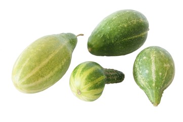Garten-Schmorgurken Bio