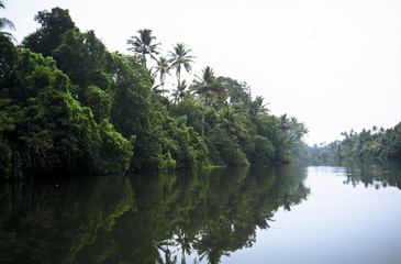 Backwaters,India