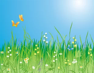 Türaufkleber Schmetterling Blumen, Gras und Schmetterling / Vektor