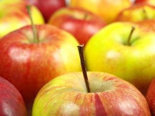 red apples background
