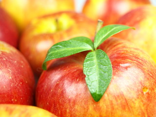 red apples background