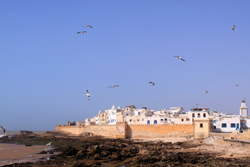 Remparts et Mouettes d'Essaouira
